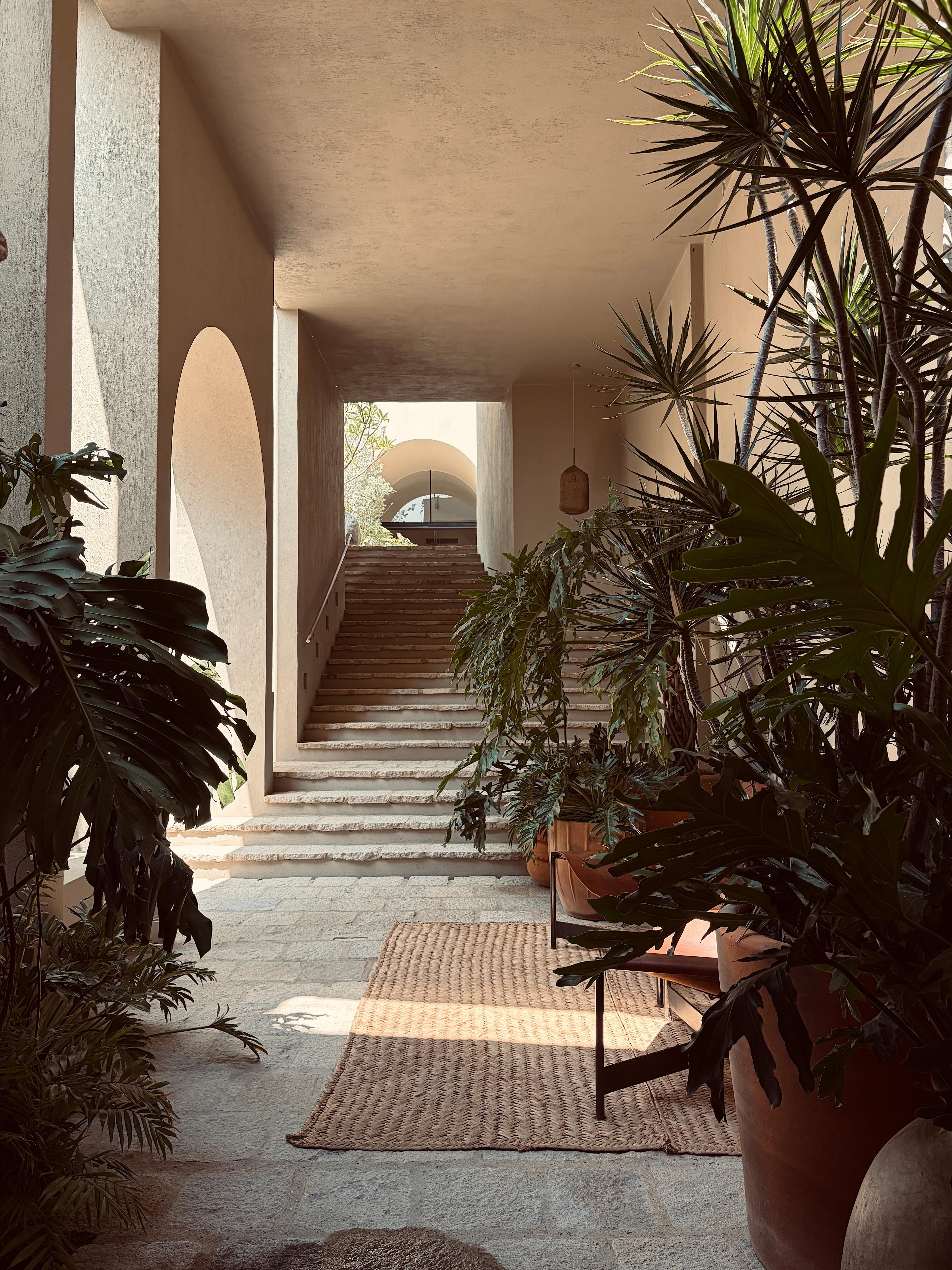 Oficio Garden 1