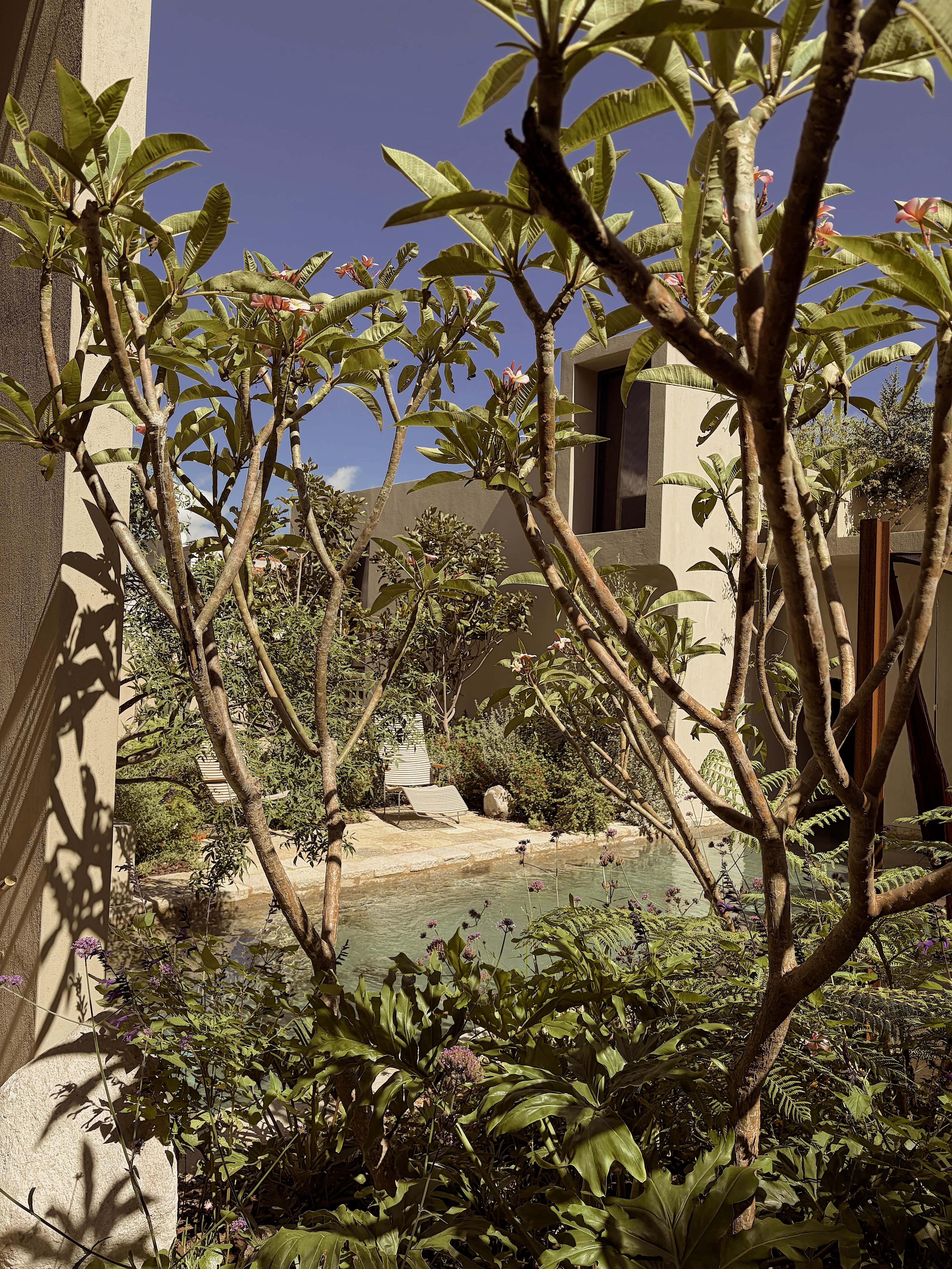 Recreo Garden 3